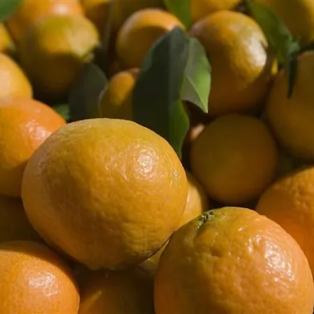 Çiftlik konaklama Relais Il Mulino Corigliano Calabro