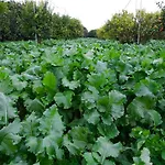 Vakantieboerderij Relais Il Mulino Corigliano Calabro