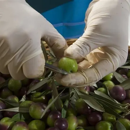 Farm stay Relais Il Mulino *