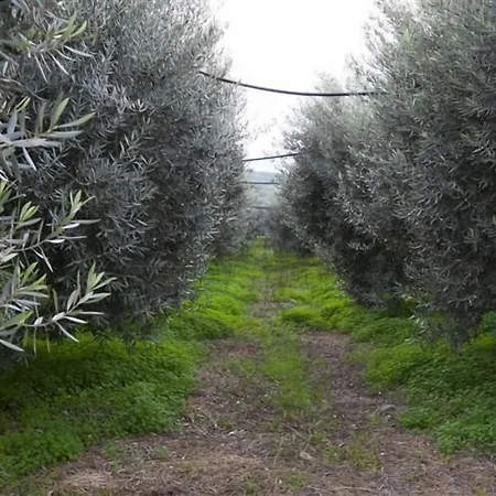 Farm stay Relais Il Mulino