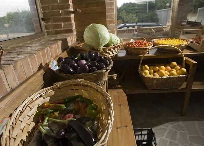 Alojamento de Turismo Rural Relais Il Mulino