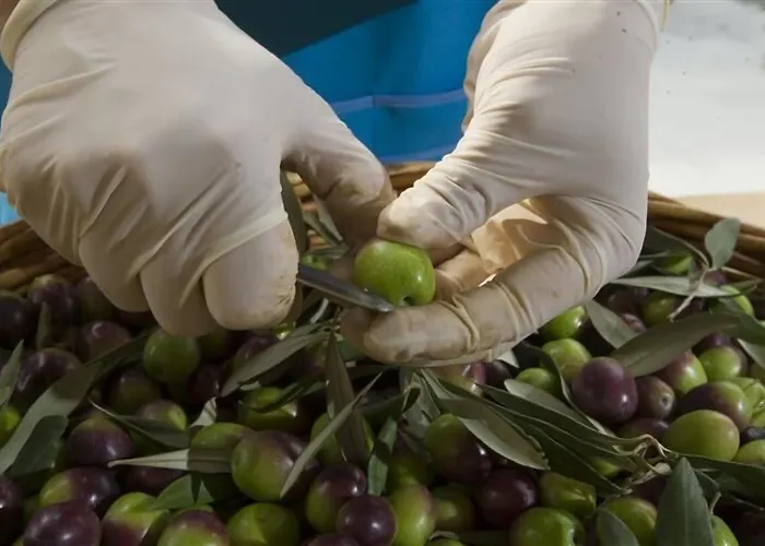 Alojamento de Turismo Rural Relais Il Mulino *