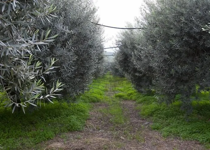 Alojamento de Turismo Rural Relais Il Mulino