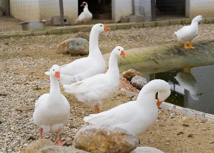 Relais Il Mulino Alojamento de Turismo Rural